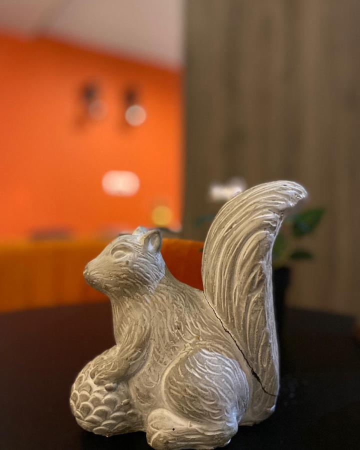 Hotel Le Mas Des Ecureuils Aix-en-Provence Ngoại thất bức ảnh