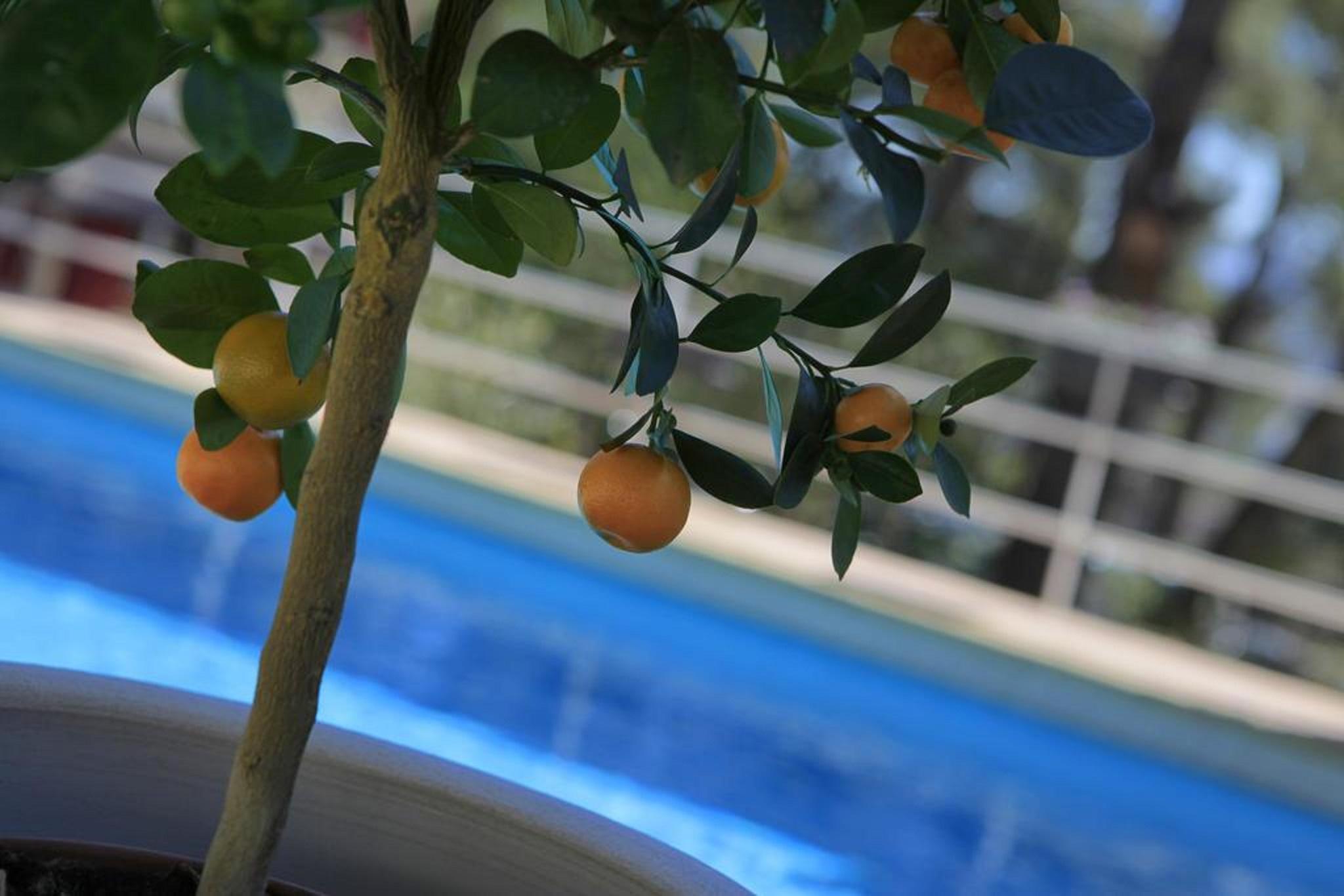 Hotel Le Mas Des Ecureuils Aix-en-Provence Ngoại thất bức ảnh